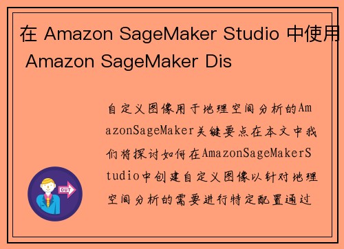 在 Amazon SageMaker Studio 中使用 Amazon SageMaker Dis